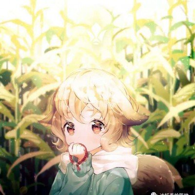 谢娜演唱会供需比